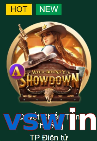 vswin
