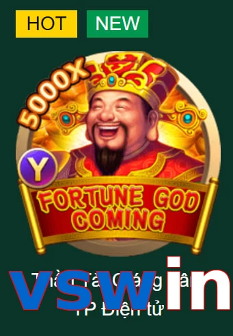 vswin
